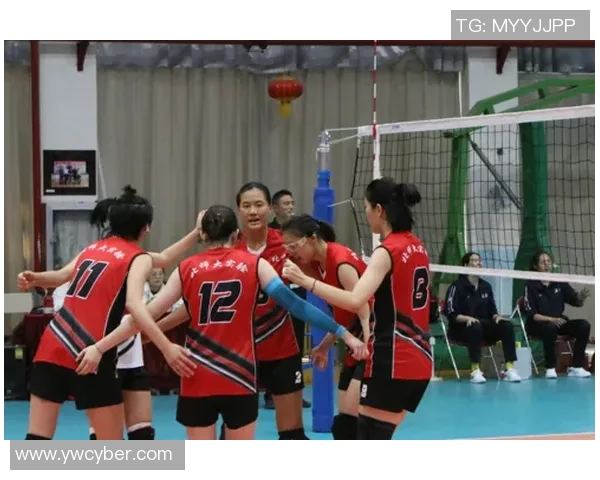 北京排球队团队协作引发热议球员间默契与配合的争议探讨