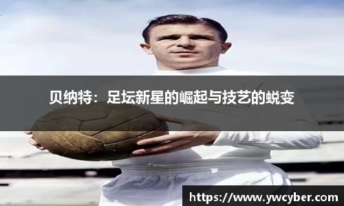 伟德国际1946
